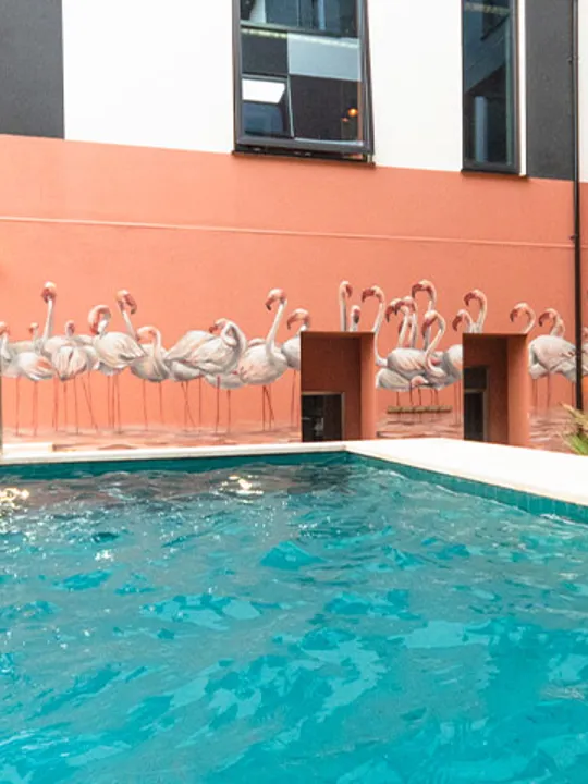 The pool at The Dean Galway