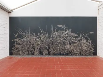 A Brightness At The Edge of Things