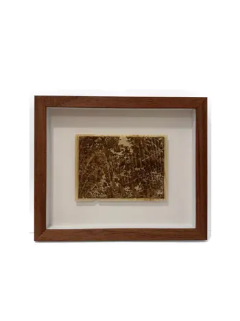 North of Plainsong 1