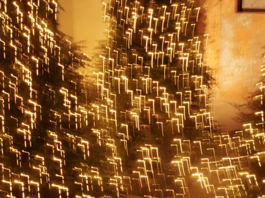 Out of focus lights on christmas trees