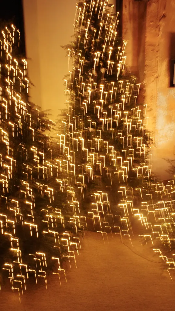 Out of focus lights on christmas trees
